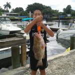 Fish Naples Florida
